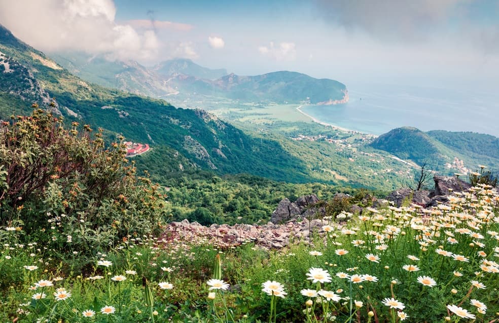 Area verde vista dall'alto sullo sfondo il mare