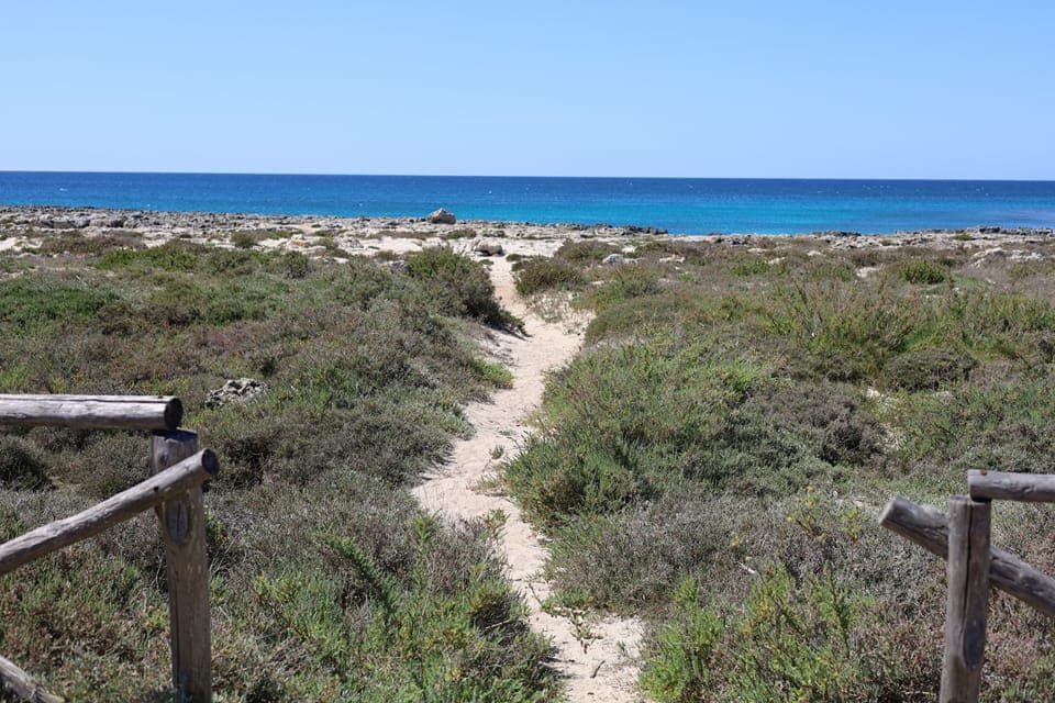 dune mare