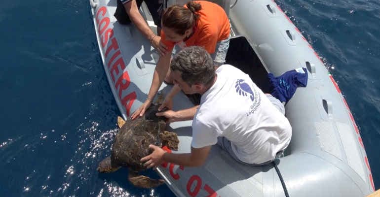 Goletta Verde fa tappa alle Isole Tremiti