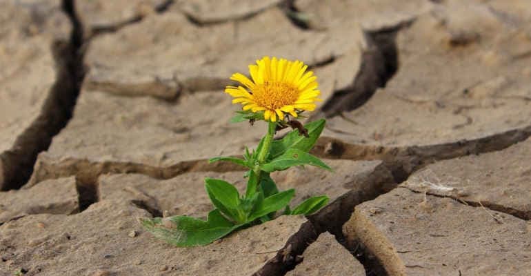 SOIL4LIFE, il progetto europeo per la salvaguardia del suolo approda nelle scuole