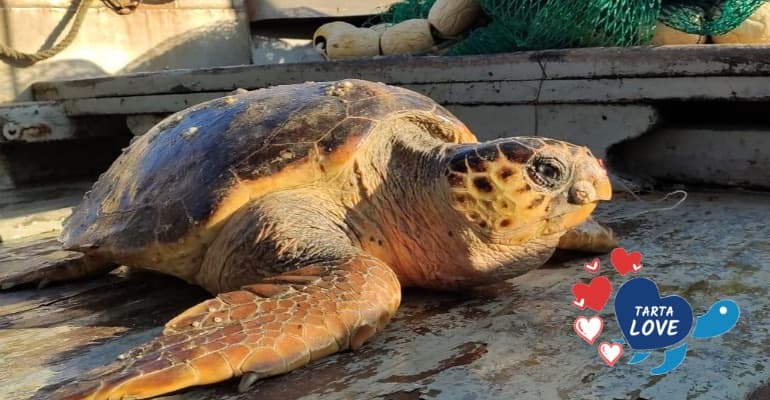 Un dono speciale per San Valentino