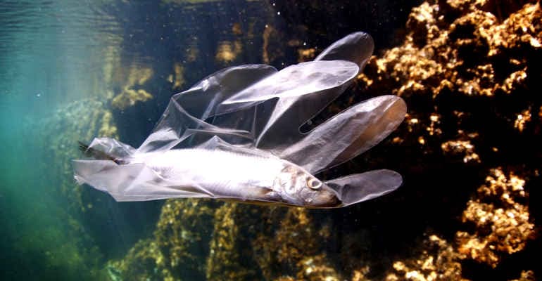 Ecoballe di plastica sui fondali del Tirreno
