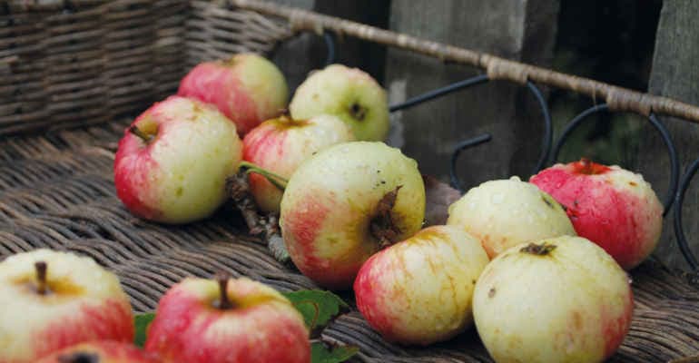 Imperfetti ma buoni. CosìperNatura