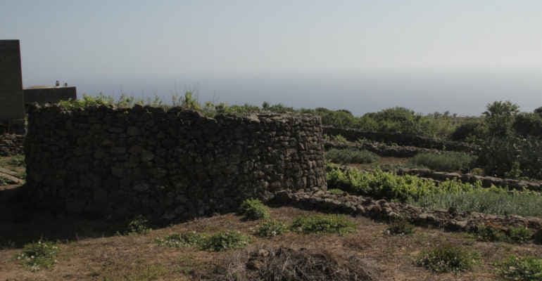 Bellezza Italia. Legambiente e il Gruppo Unipol presentano il nuovo intervento legato ai giardini panteschi di Pantelleria