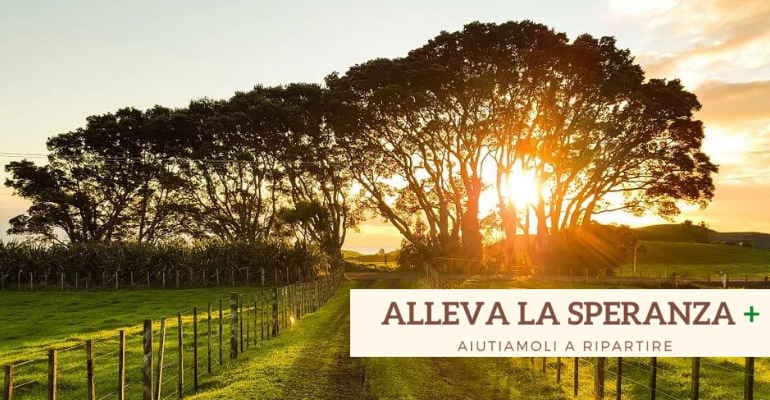 Alleva la Speranza + Nuova call dedicata al settore turistico