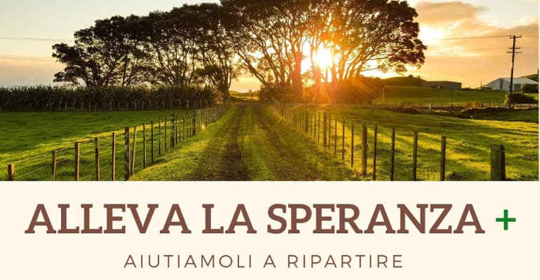 ALLEVA LA SPERANZA + Per sostenere l’economia dell’Italia Centrale