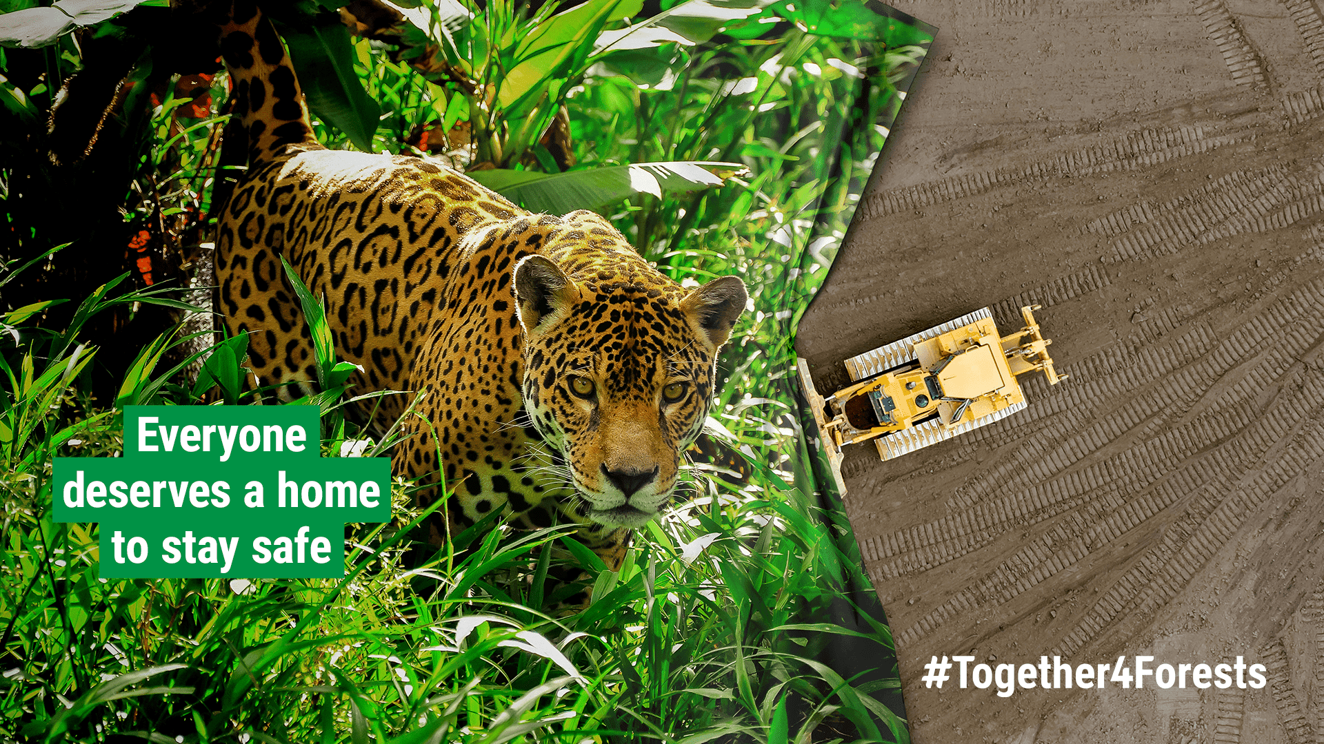 #Together4forests