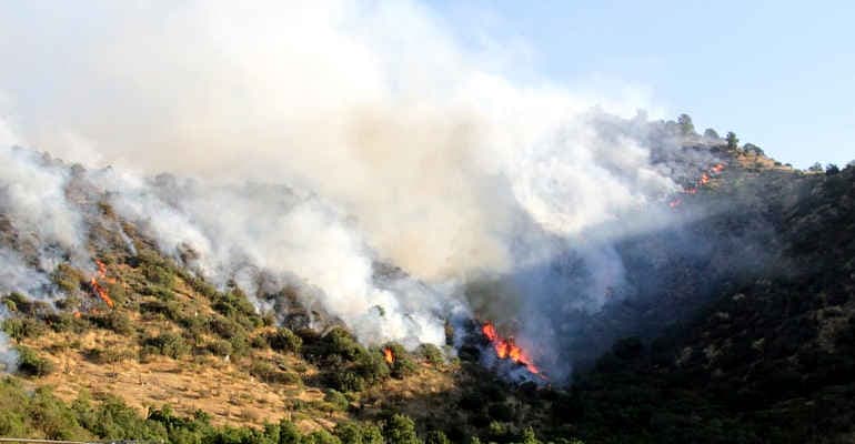 Incendi boschivi, migliorare la prevenzione