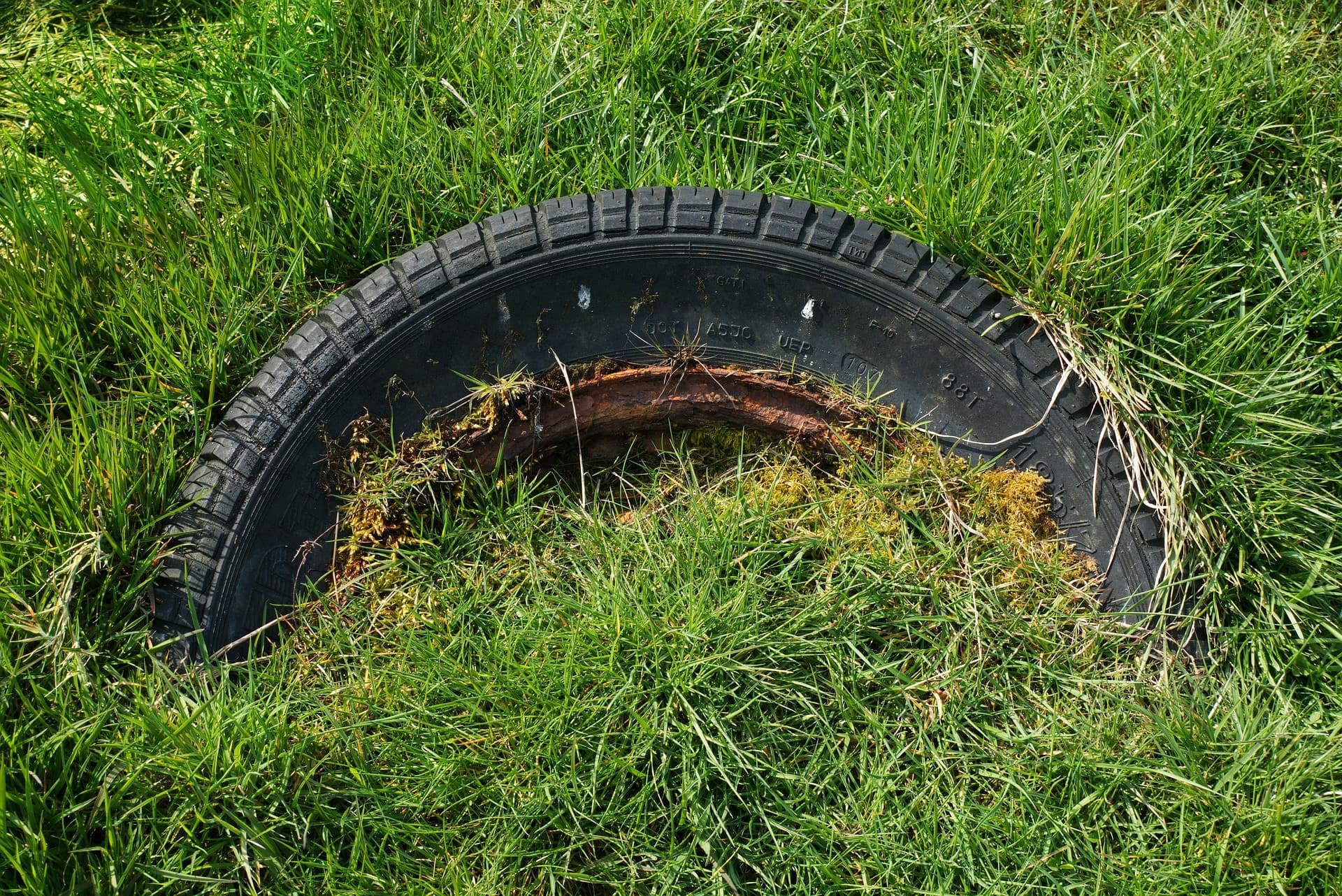 Legambiente ed EcoTyre insieme per liberare boschi e territori dagli Pneumatici Fuori Uso