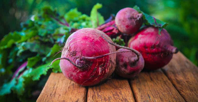 Forum Agroecologia circolare, Legambiente presenta Decalogo agroecologia per Piano rilancio made in Italy di qualità