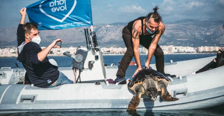 Piero libera Pelù! Torna in mare la tartaruga rock del Mediterraneo