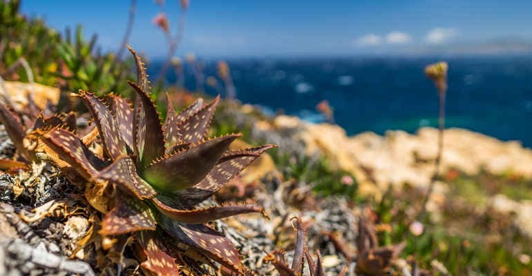 Le armonie della bellezza, Legambiente e famiglia Abbado insieme per proteggere un gioiello naturalistico