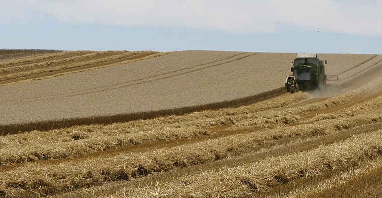 Lotta all’agropirateria e sicurezza alimentare: una riforma che non può più attendere