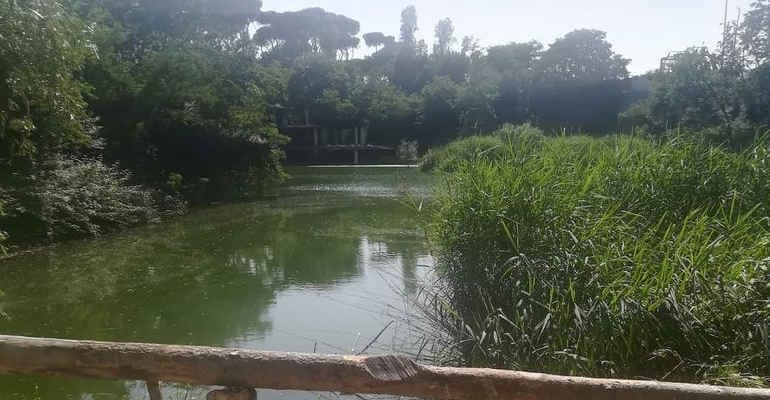 Monumento Naturale Ex SNIA, ampliamento dell’area protetta