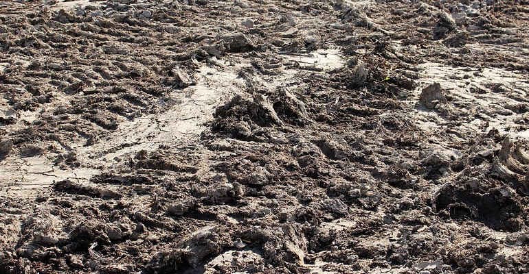 Veleni nei campi del nord Italia, Legambiente si costituirà parte civile