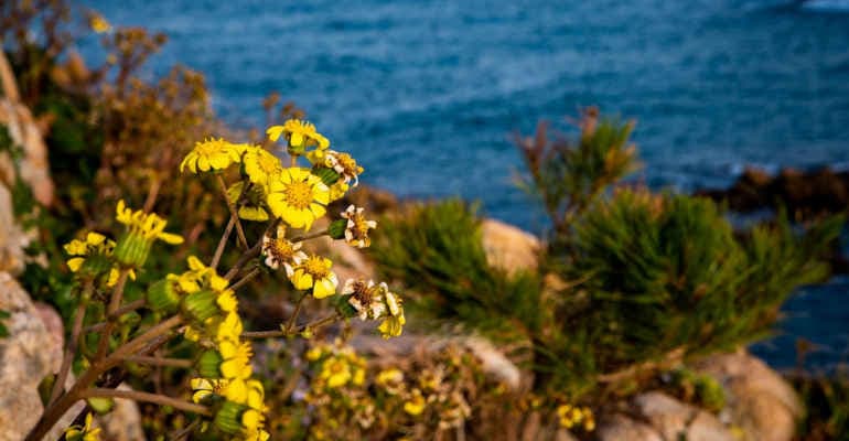 Al via il progetto di gestione del Terreno Legambiente – Abbado