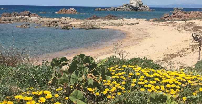 Le armonie della bellezza. Parte il progetto sul Terreno Legambiente-Abbado