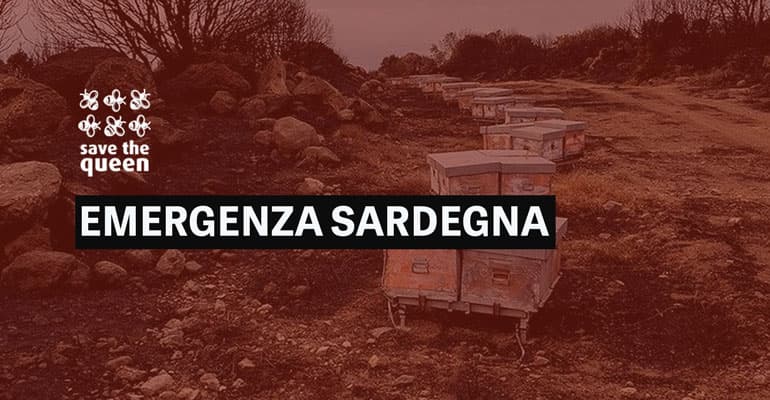 Emergenza Sardegna, salviamo le api dal dramma dei roghi
