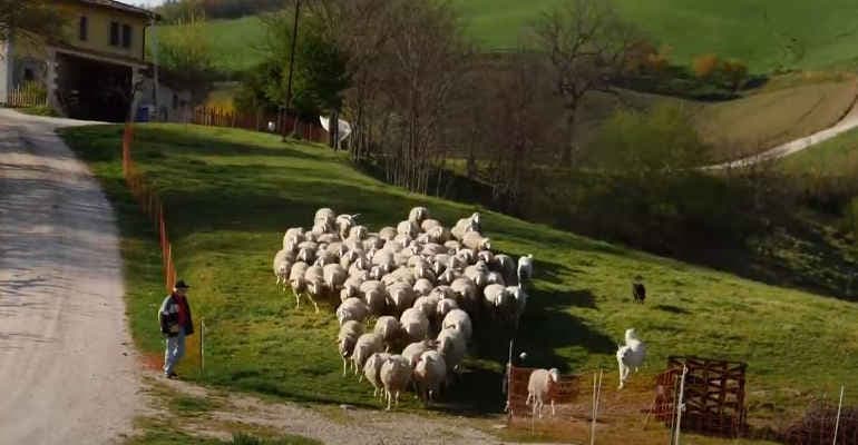 Post sisma. Continua l’impegno di Alleva la Speranza nel Centro Italia