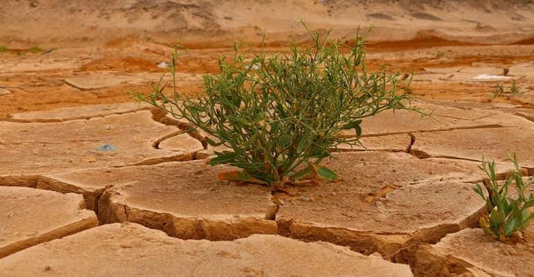 Climate Change Performance. Italia slitta al 30esimo posto. I dati del report Germanwacht