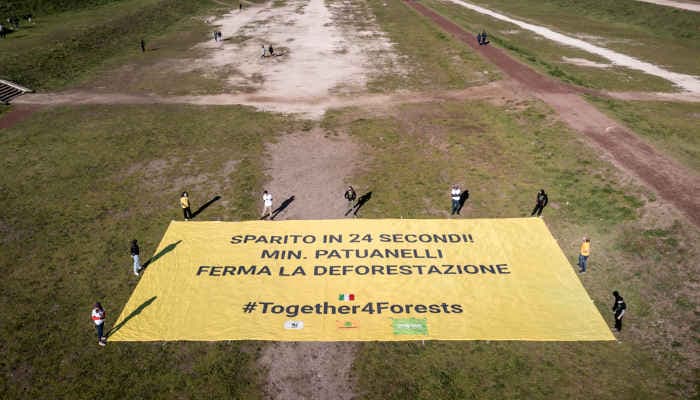 Normativa Europea per le foreste