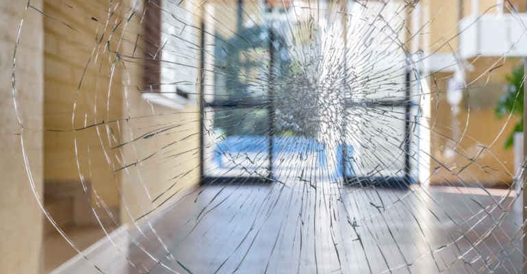 Mite: associazioni ambientaliste, respingere ogni forma di violenza