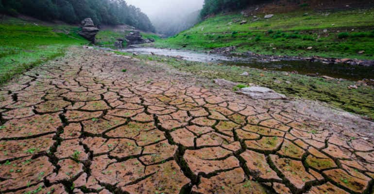 Giornata mondiale contro la desertificazione e la siccità