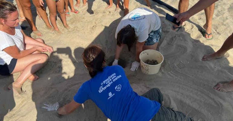 Tartarughe marine, assistenti ai bagnanti FIN in azione per monitoraggio nidi
