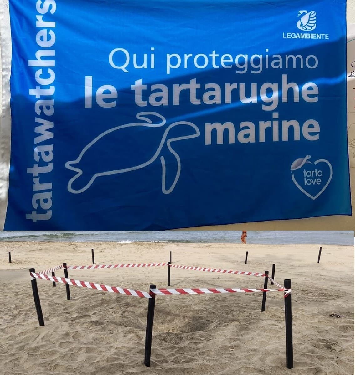 Intervista a Isa, tartawatchers dell’Isola d’Elba