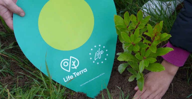 “Pianta un amico”. Edizione speciale della Festa dell’Albero 2023