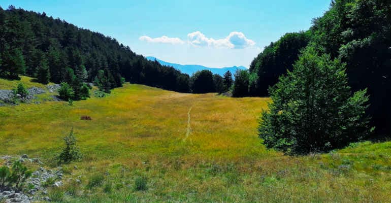 Inwit e Legambiente: infrastrutture digitali per il monitoraggio ambientale