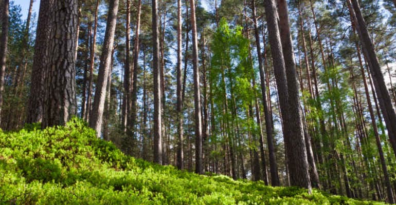 Festambiente 2023, focus aree protette e biodiversità