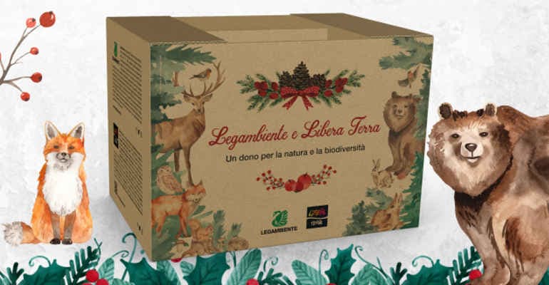 Per un Natale davvero speciale, ecco i regali solidali che fanno bene all’ambiente e alle persone