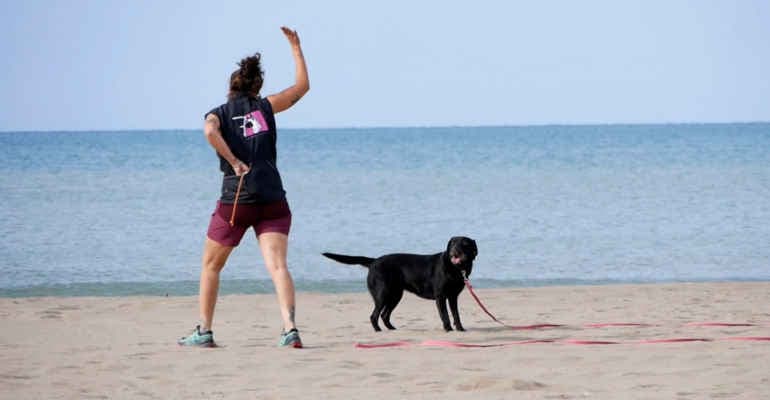 Arrivano i “Tarta Dogs”