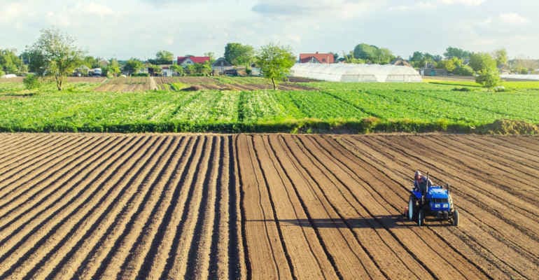 Dl Agricoltura. Legambiente: “La bozza contiene due gravi pericoli”