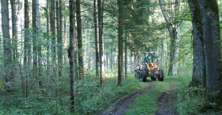 Premio Comunità Forestali Sostenibili 2024