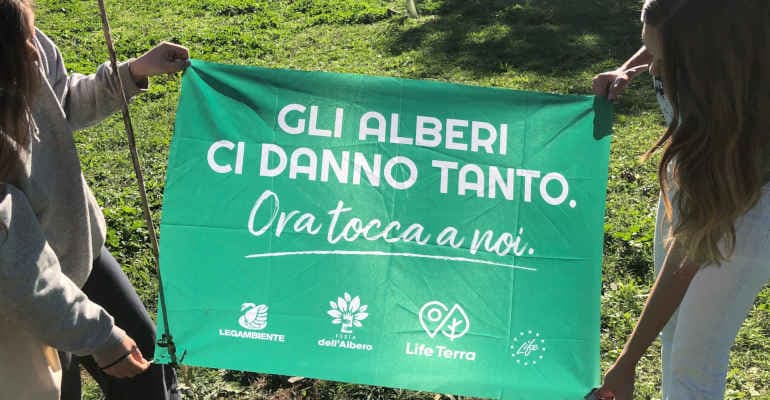 Festa dell’Albero 2024 , 5mila alberi nelle città italiane contro la crisi climatica