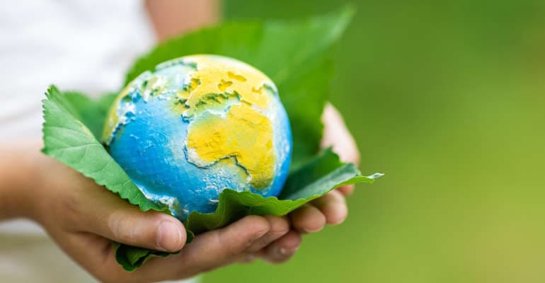 Cop 16, raggiunto accordo per la biodiversità
