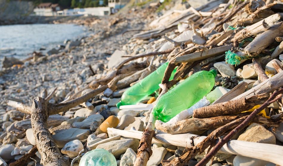 Indagine Beach Litter
