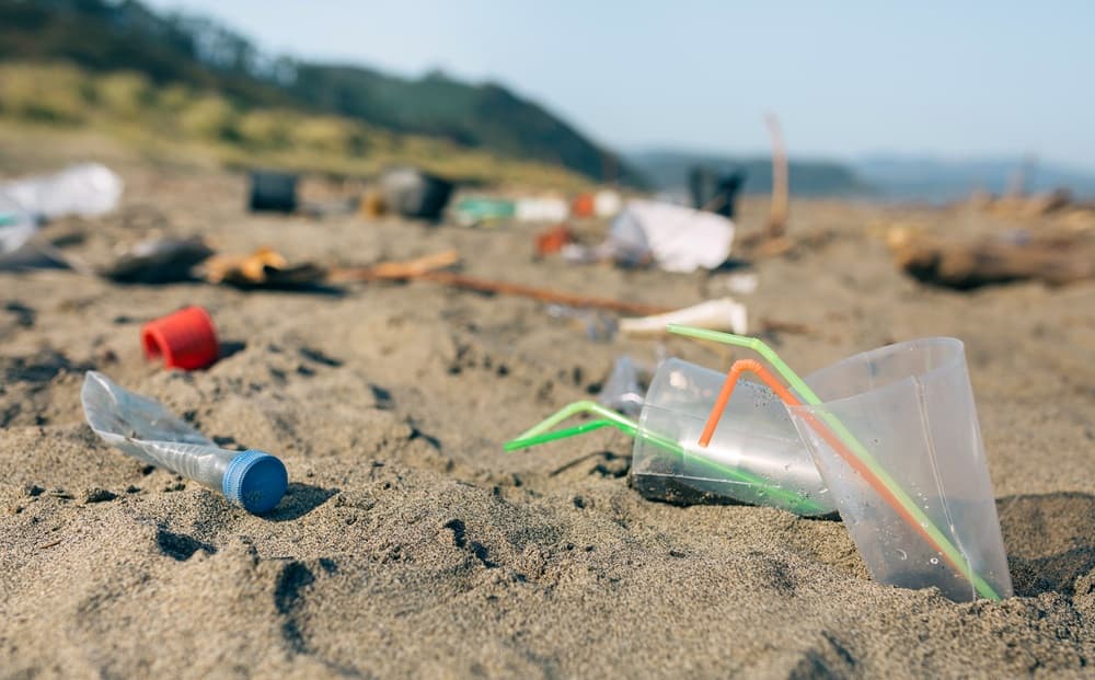 Beach e Park litter, a quattro anni dalla direttiva SUP