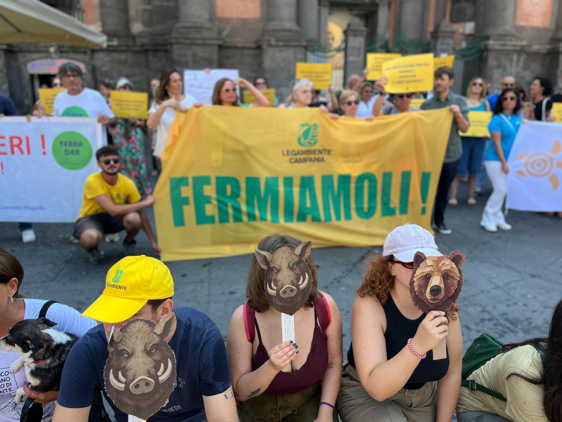 Immagine non disponibile