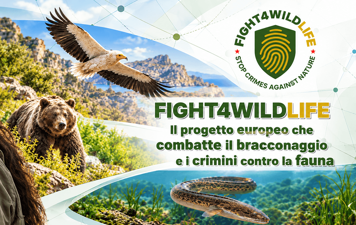 LIFE FIGHT4WILDLIFE